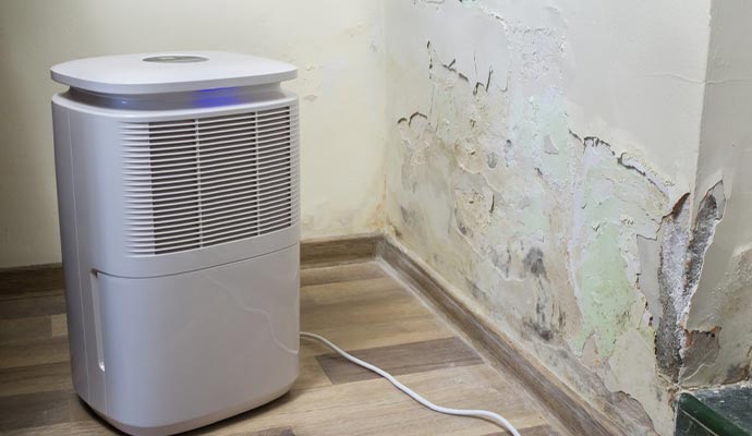 Basement Dehumidification Services in Westchester, NY
