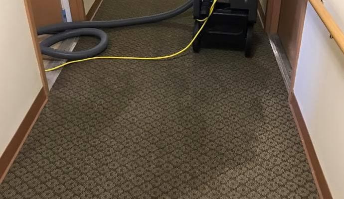 carpet water damage restoration