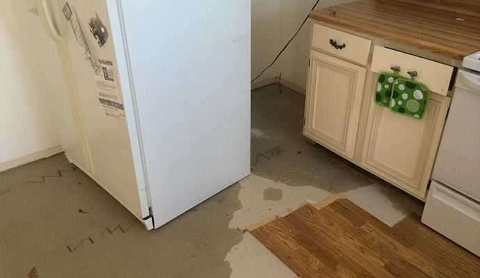 Refrigerator leakage cleanup