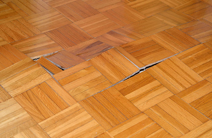 Addressing water damage on a hardwood floor for a polished finish.