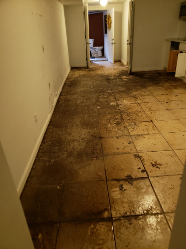 Toilet Overflow Water Damage Cleanup in Stamford, CT