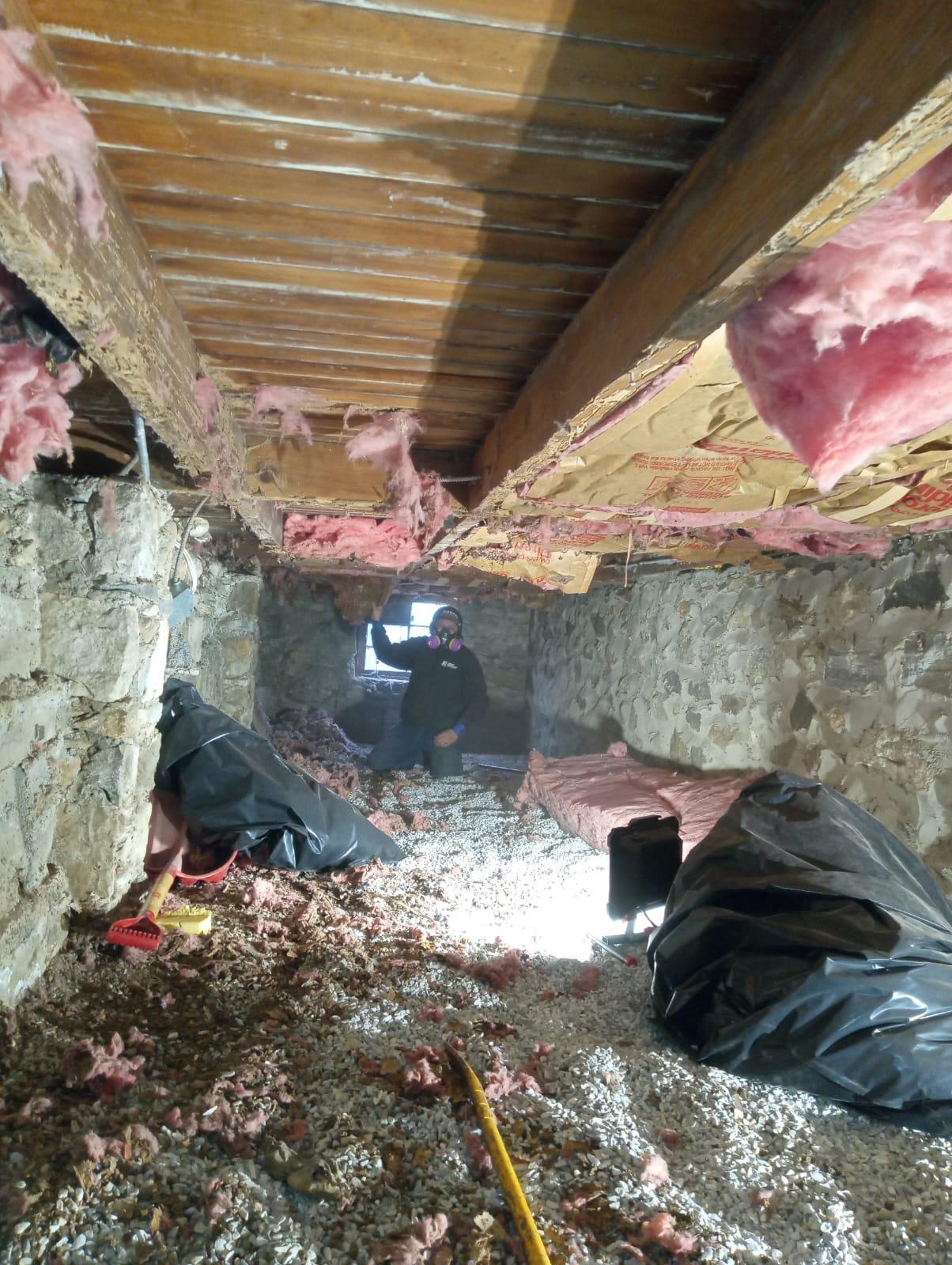 Mold Remediation in Mahopac, NY