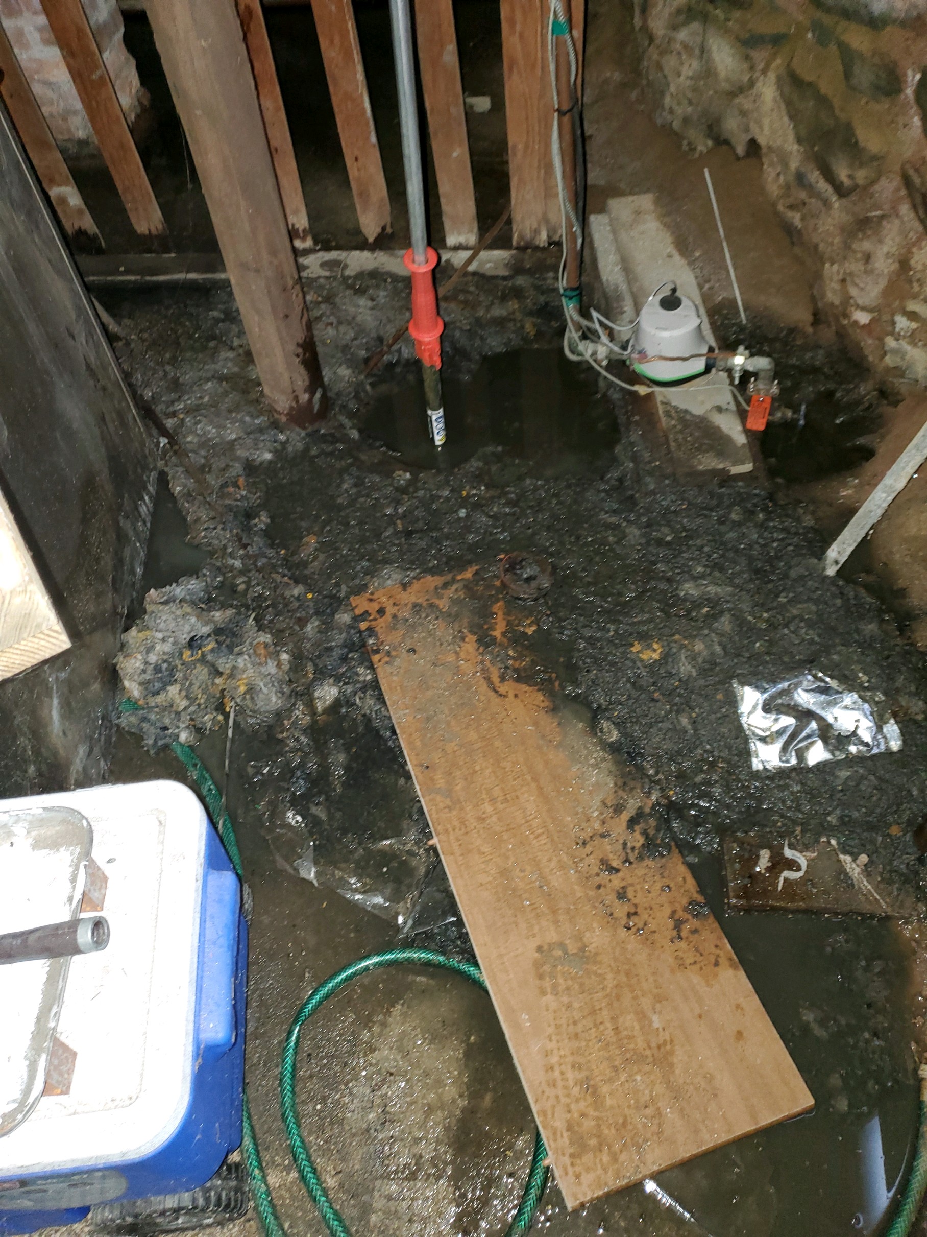 Sewage damage in basement