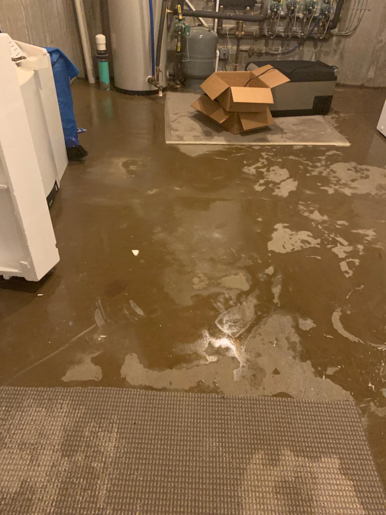 Failed Sump Pump in Jefferson Valley, NY