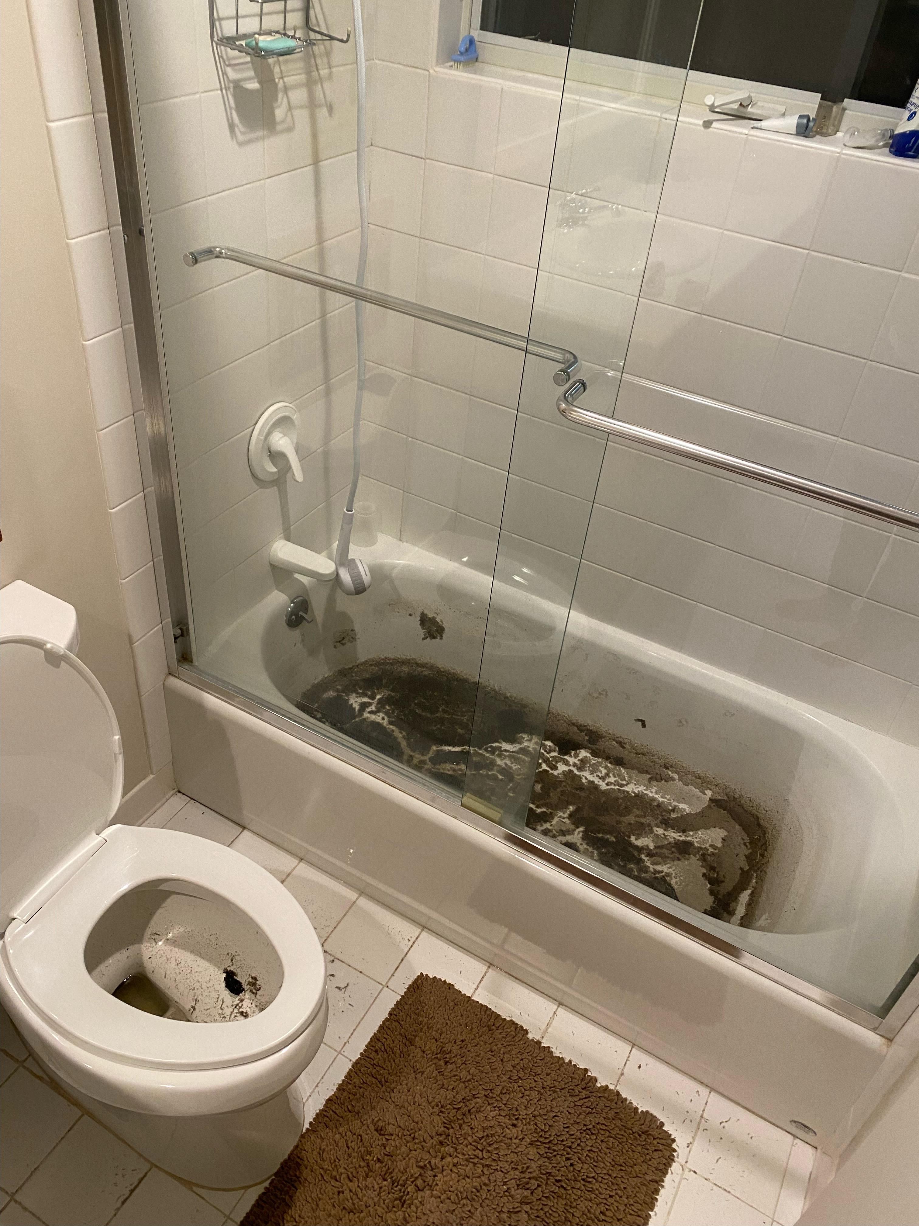 Sewage damage in bathroom