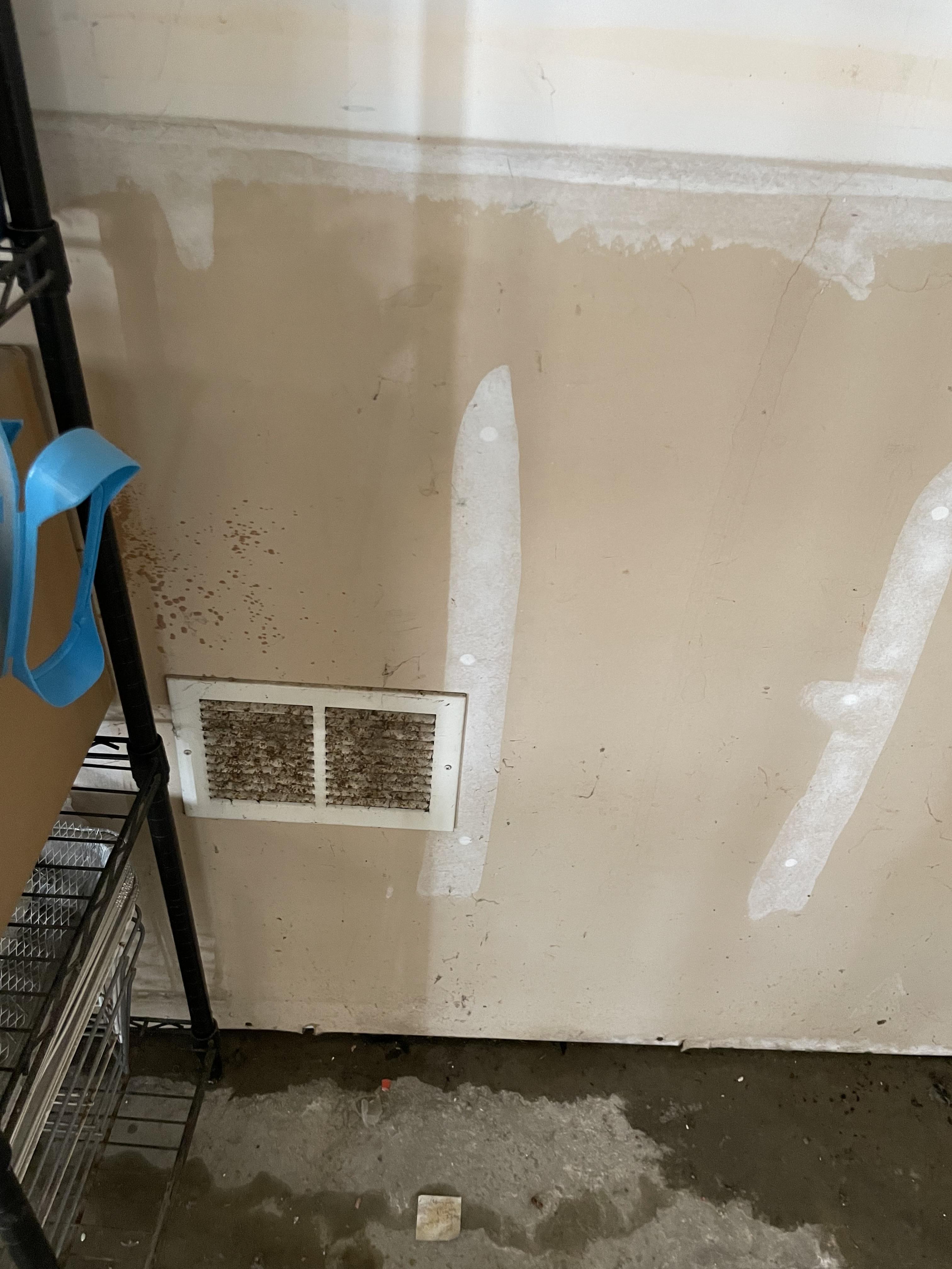 Mold growth on heating vent