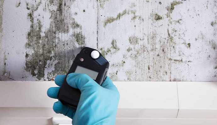 Mold Testing & Remediation in Westchester, NY & Fairfield, CT