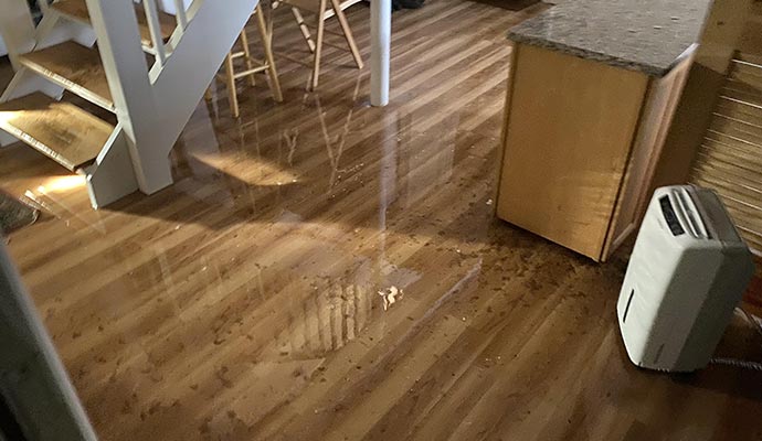 Water Damage Services We Offer