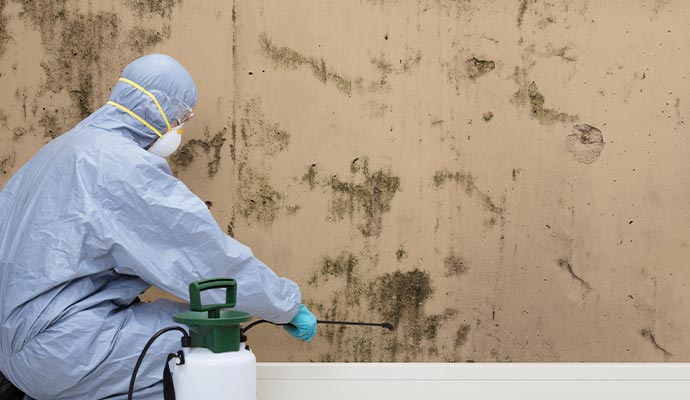 mold prevention on the wall by the worker